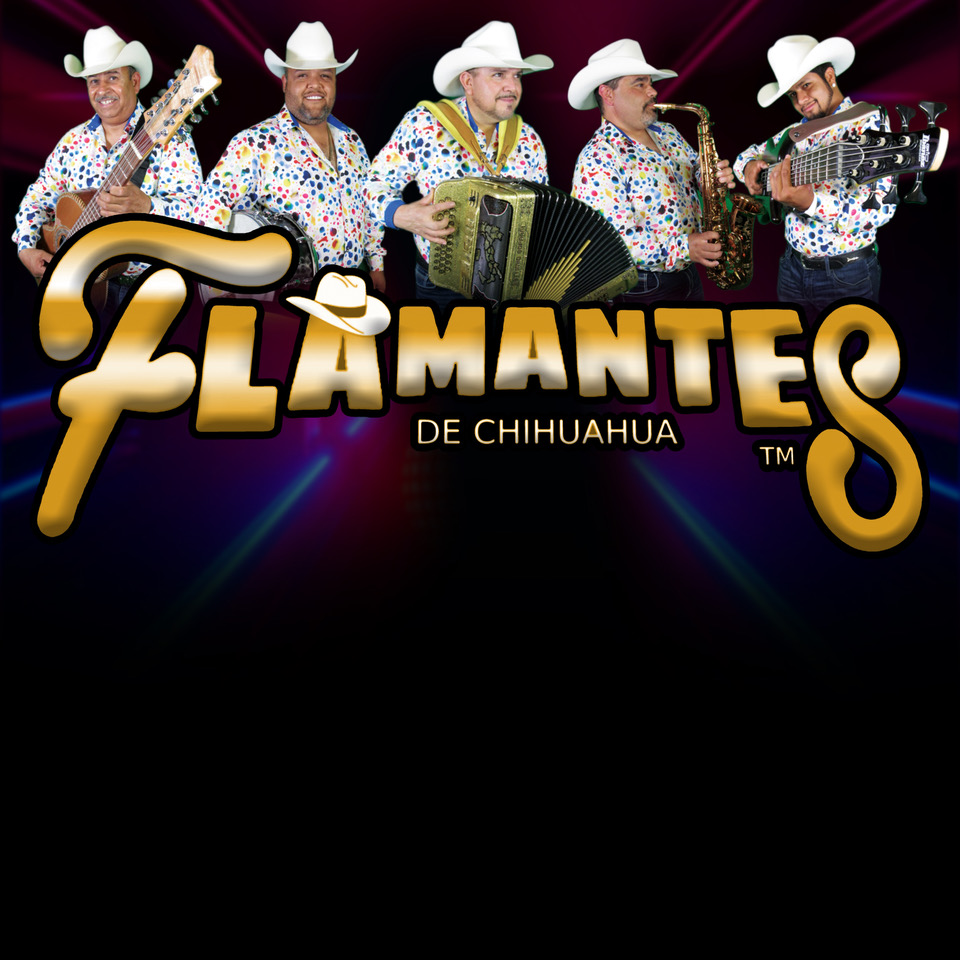 Flamantes de Chihuahua